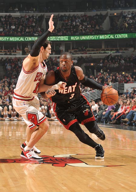 展现出极高 展现出极高