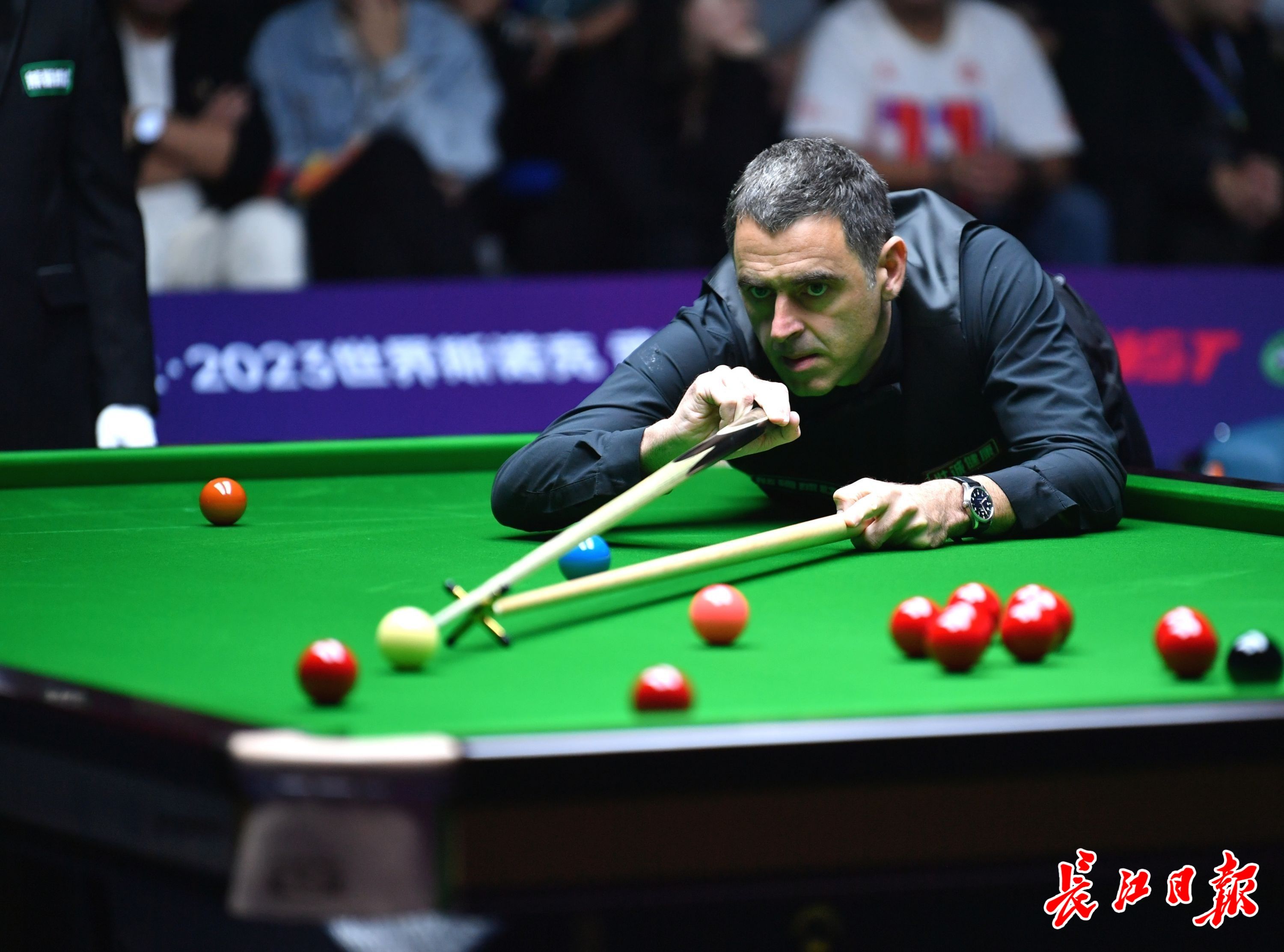 大师的案例 大师的案例